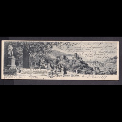 DR. Panoramakarte, Heidelberg 1899